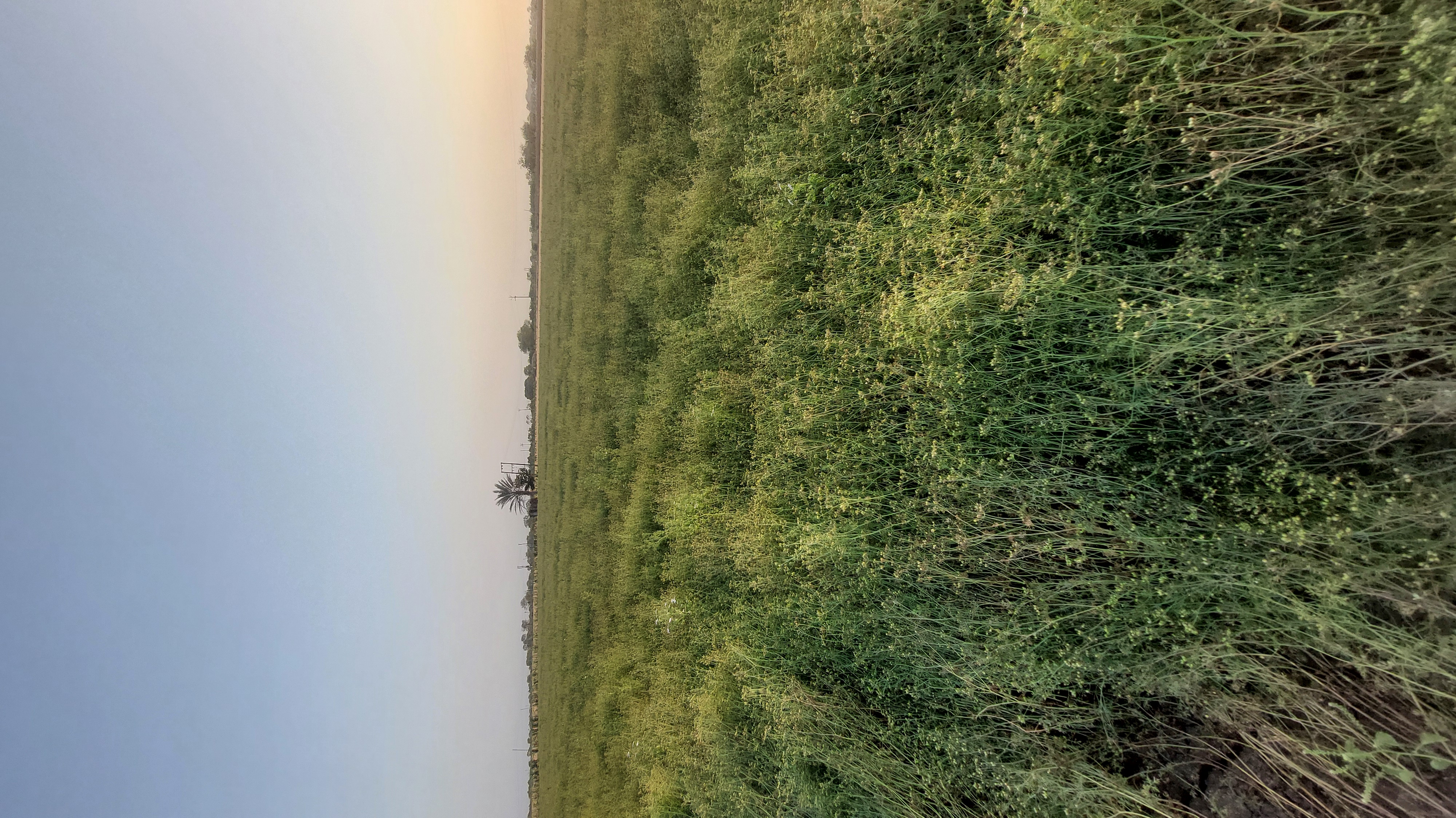 Ravni Farmers Producer Company - Farmer Network