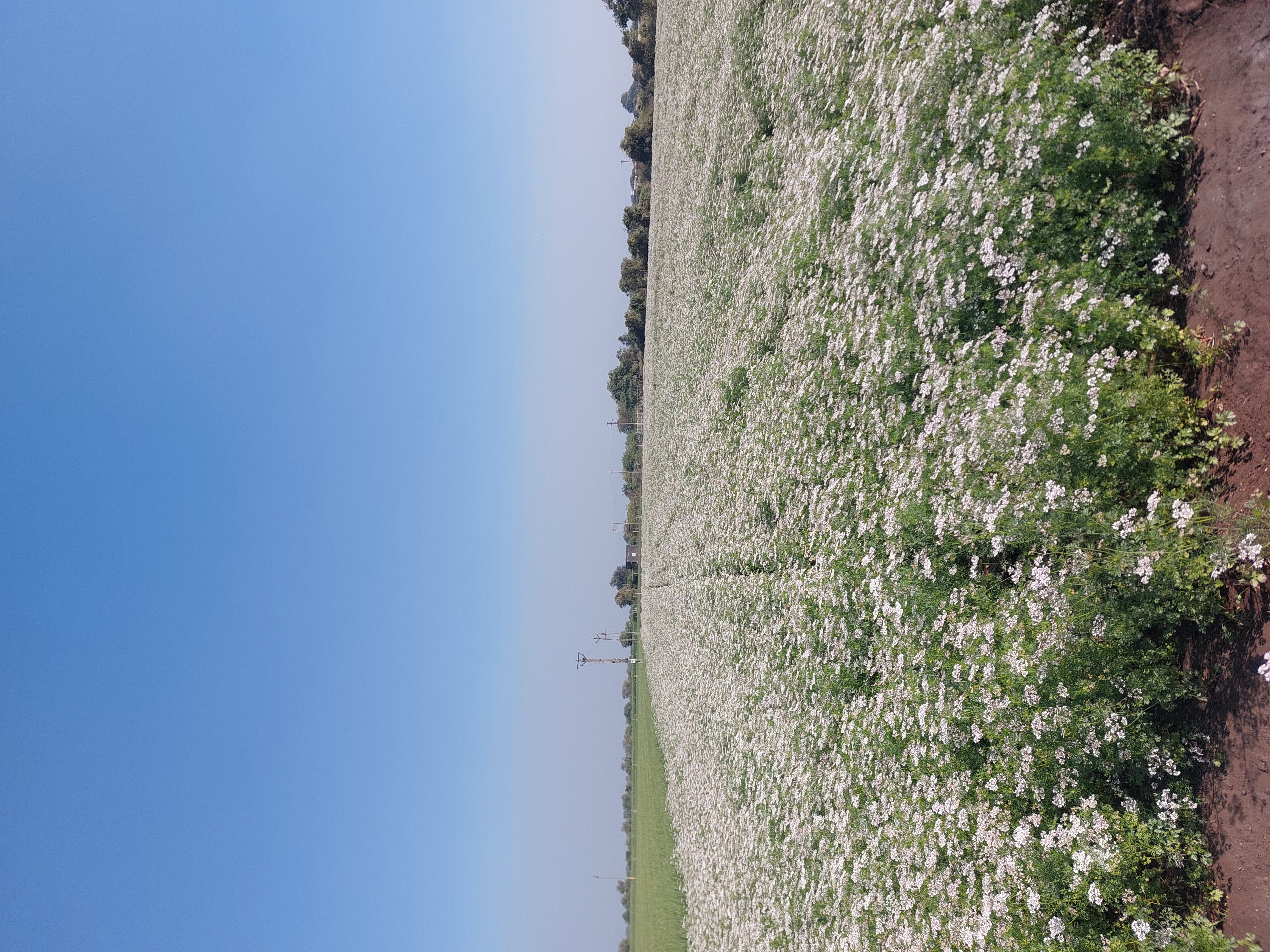 Ravni Farmers Producer Company - Farmer Sourced