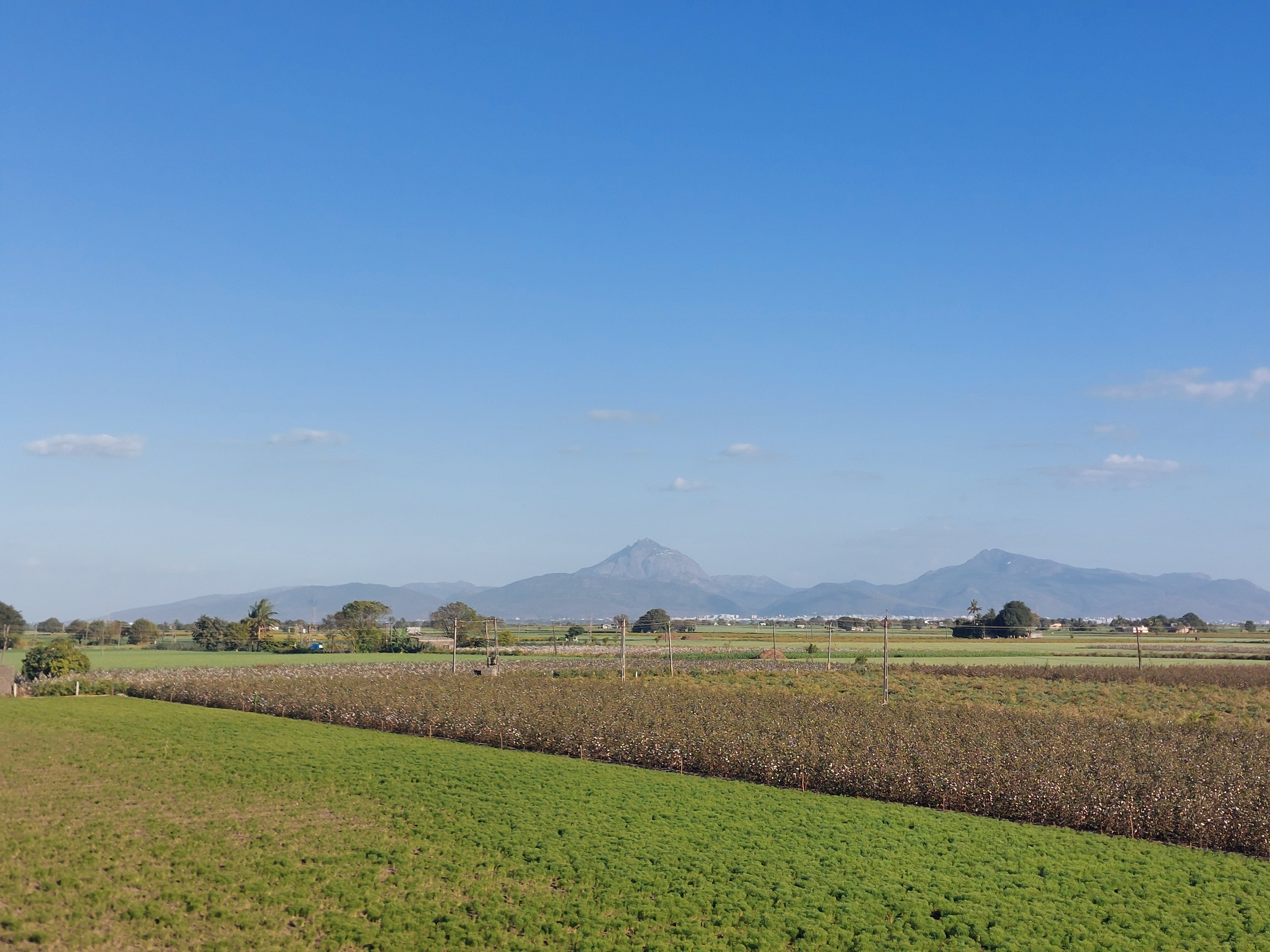 Ravni Farmers Producer Company - Pure Organic Sourcing