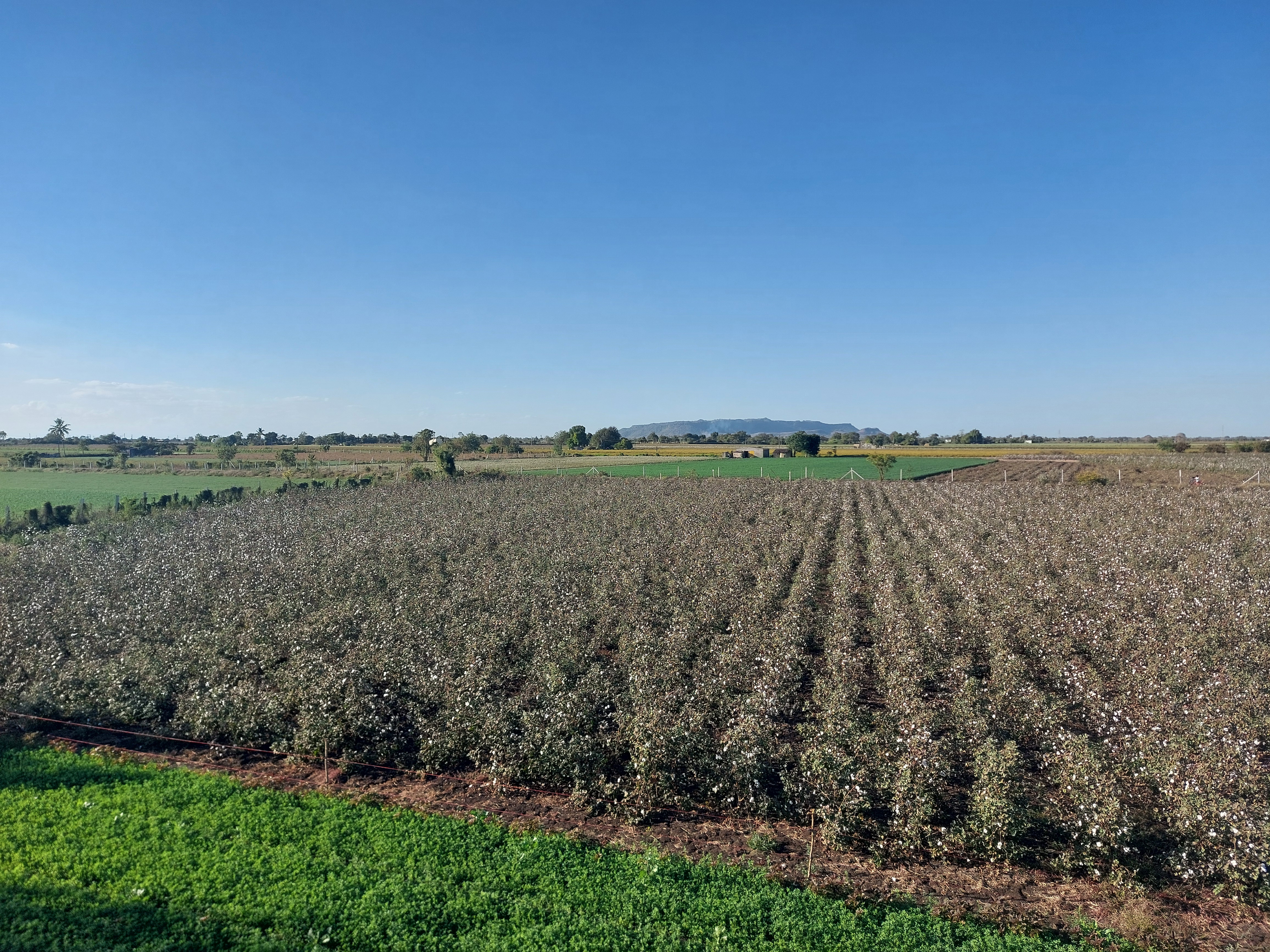 Ravni Farmers Producer Company - Indian Farms Quality