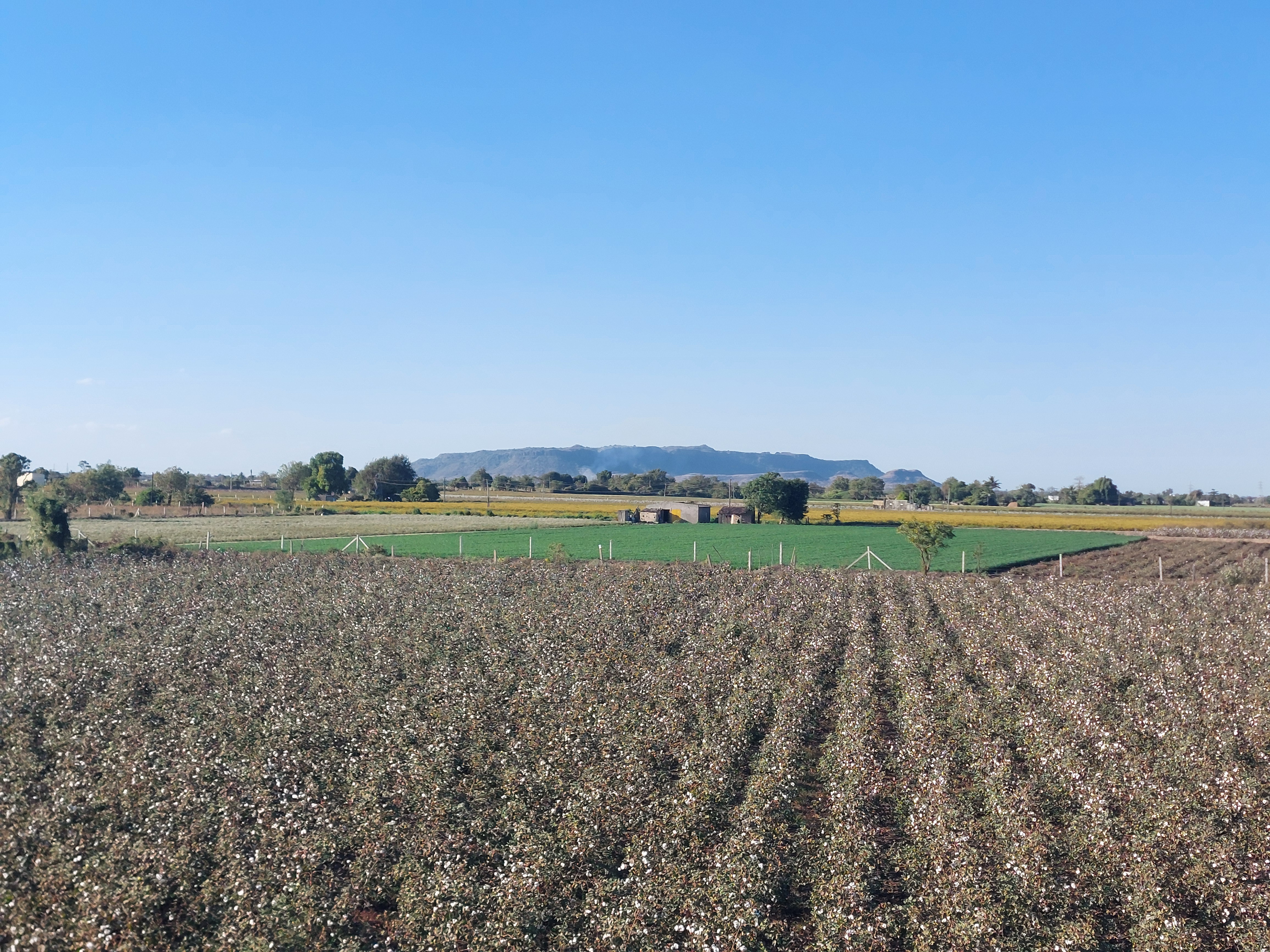 Ravni Farmers Producer Company - Direct Sourced Crops