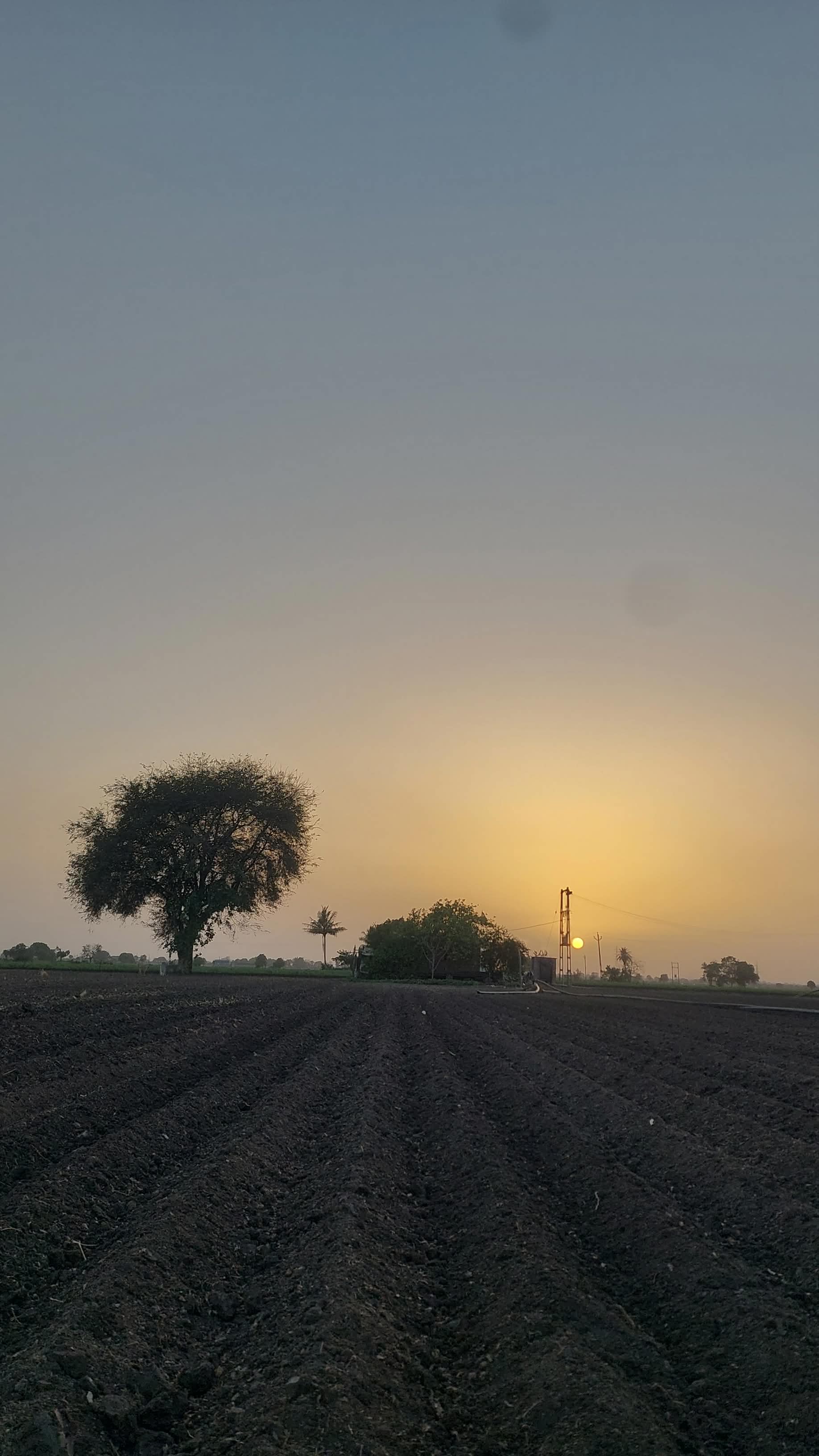 Ravni Farmers Producer Company - Farmer-led Initiative