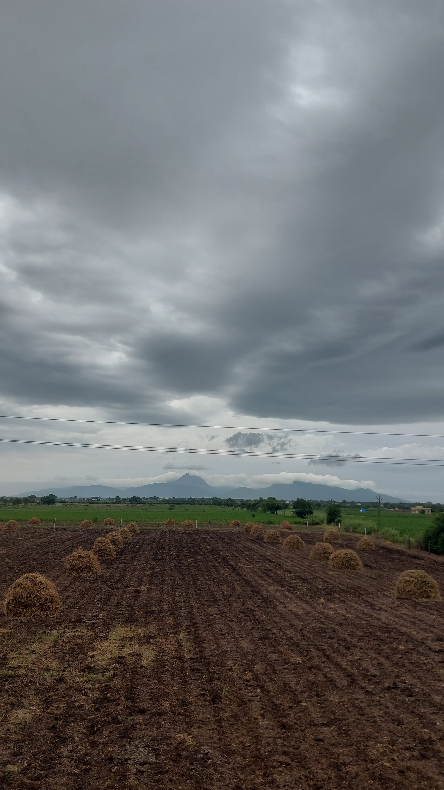 Ravni Farmers Producer Company - Fresh Seeds Selection